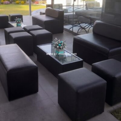 Salas lounge puff con sofá negro